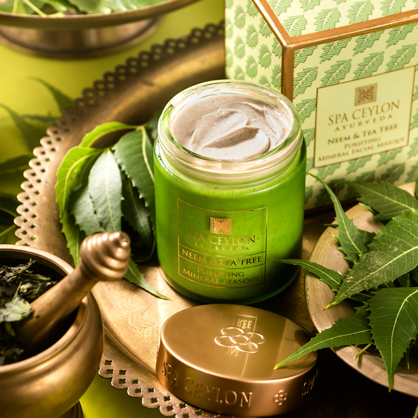 Neem & Tea Tree - Purifying Mineral Masque 200g