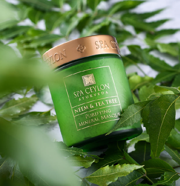 NEEM & TEA TREE -Â Purifying Mineral Masque 200g-3498