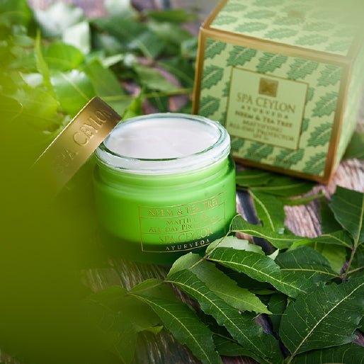 NEEM & TEA TREE -Â Mattifying All - day Protector SPF 5+ 100g-3480