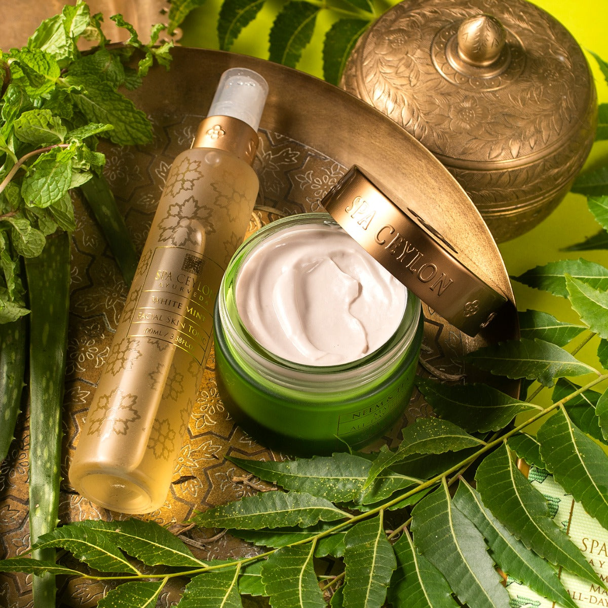 NEEM & TEA TREE -Â Mattifying All - day Protector SPF 5+ 100g-5413