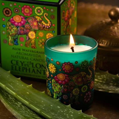 Ceylon Elephant Aloe Water Grass - Aromaveda Natural Candle 50g