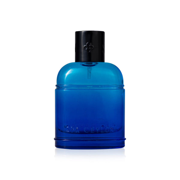 Surf Aru - Men's Eau De Perfume Cologne 100ml