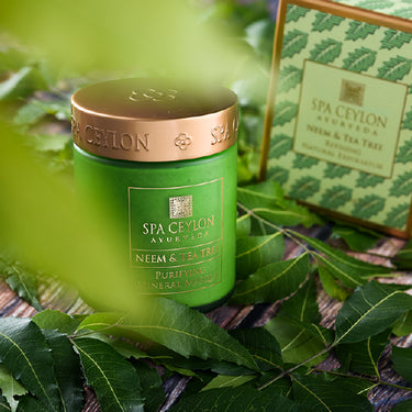 NEEM & TEA TREE -Â  Purifying Mineral Masque 200g-3497